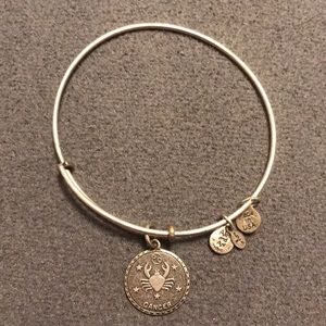 Women’s Alex and Ani Cancer charm bracelet